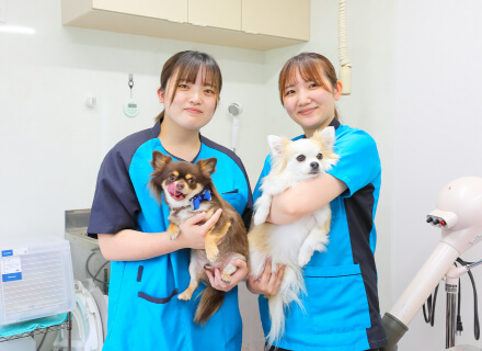 スマイル動物病院ご紹介