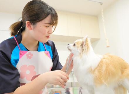 スマイル動物病院ご紹介