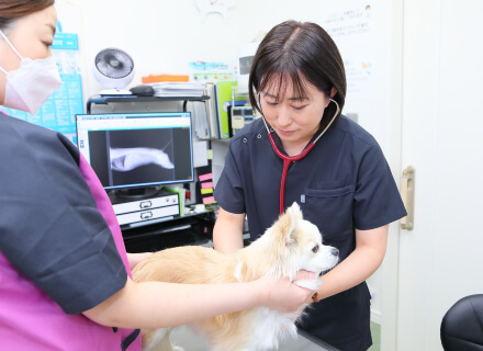 スマイル動物病院ご紹介