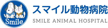 2月のお知らせ｜一宮市の動物病院｜スマイル動物病院（木曽川町）